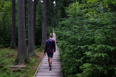 Full length of woman walking on boardwalk in forest