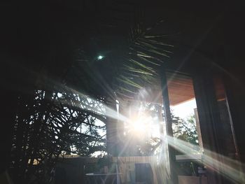 Low angle view of palm trees against sky