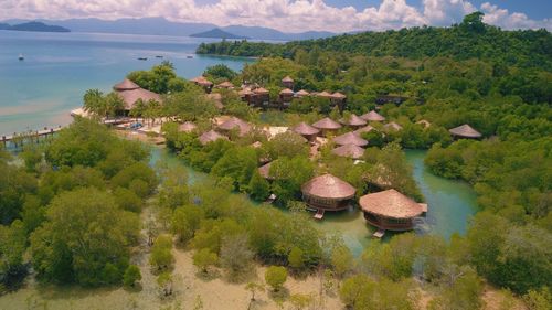 High angle view of trees and plants on land