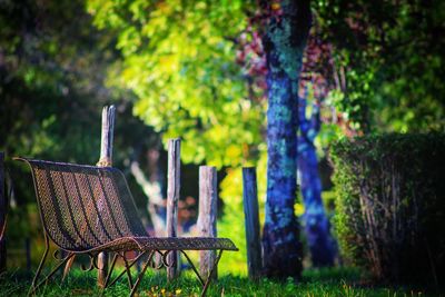 Empty bench in park