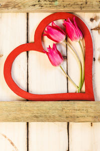 Directly above shot of red flower on table