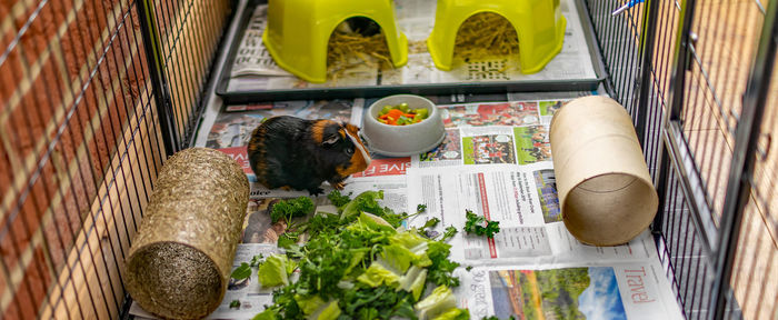 High angle view of food on table