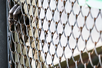 Full frame shot of chainlink fence against sky