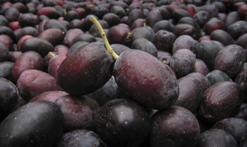 Full frame shot of grapes