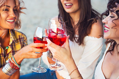 Friends toasting drinks