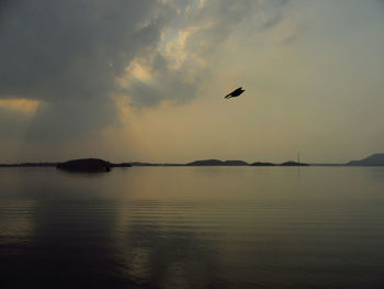 Silhouette bird flying over sea against sky during sunset