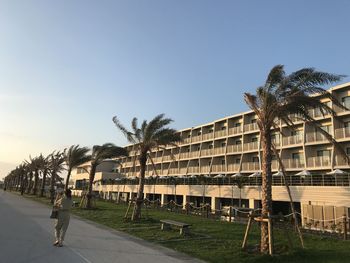 People walking by palm trees against clear sky