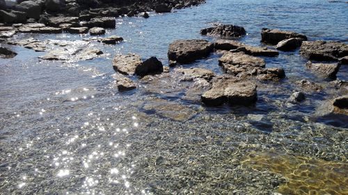 Close-up of rocks at shore