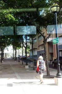 Full length of woman standing on tree trunk