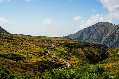 Scenic view of landscape against sky