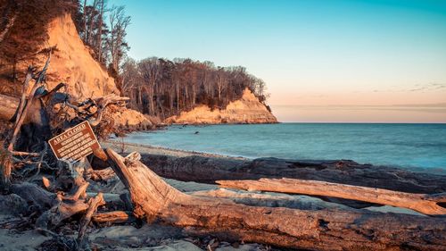 Signboard on driftwood by bay at calvert cliffs state park