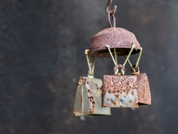 Close-up of decoration