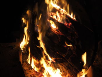 Close-up of bonfire at night