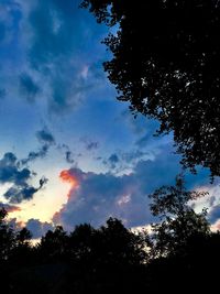 Low angle view of silhouette trees against sky during sunset