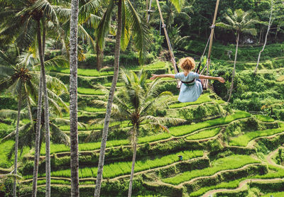 Full length of girl swinging over rice terraces 