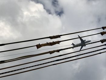 Low angle view of birds perching on cable