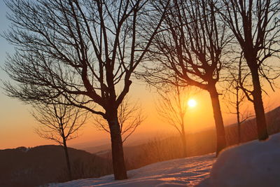 Snow covered landscape at sunset