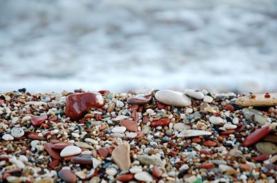 High angle view of pebbles at beach