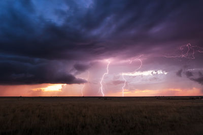 Stormy sky with lightning bolts at sunset over a field in new mexico.