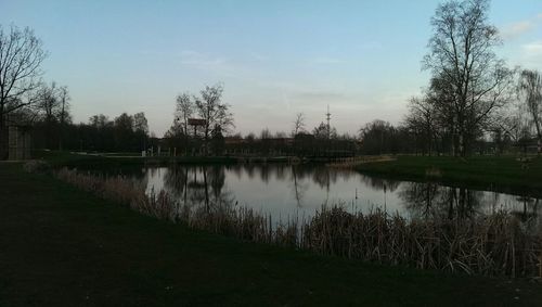 Reflection of trees in lake