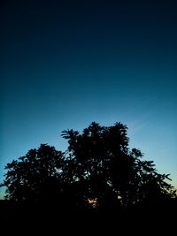 Low angle view of silhouette trees against sky at night