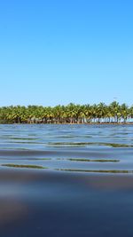 Surface level of water against clear blue sky