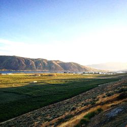 Scenic view of landscape against sky