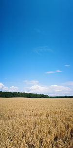 Scenic view of field against blue sky