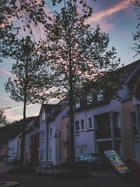 Tree by building in city against sky