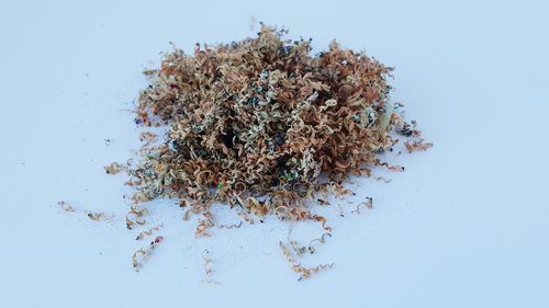 High angle view of pencil shavings on table