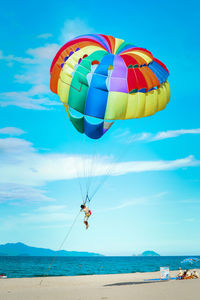 Low angle view of people paragliding over beach against blue sky