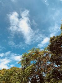 Low angle view of trees against sky