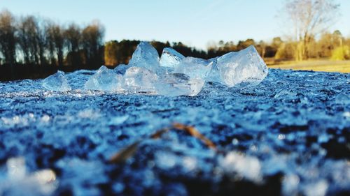 Close-up of frozen tree against blue sky