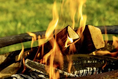 Close-up of bonfire on wooden surface