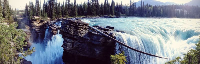 High angle view of waterfall in forest