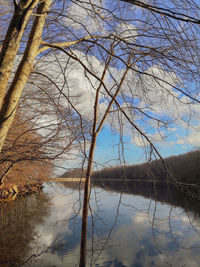 Reflection of bare trees in lake against sky