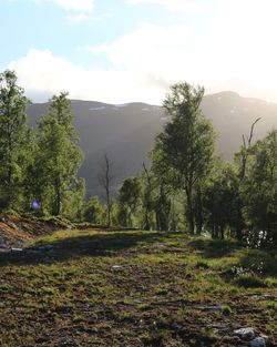 Scenic view of landscape against sky