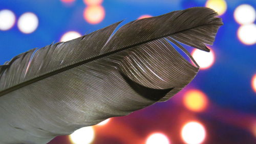 Close-up of illuminated lights against sky at night