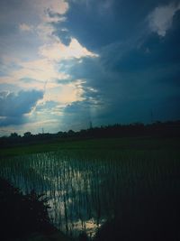 Scenic view of field against cloudy sky