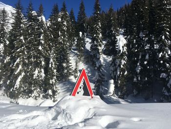 Snow covered land and trees in forest