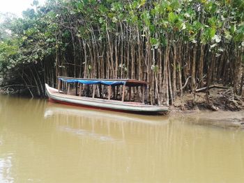 Boat moored on tree by water