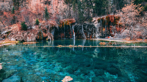 Reflection of trees in lake