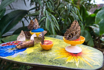 Close-up of dessert on table