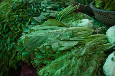 Close-up of fresh green vegetables in market