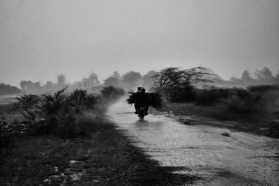 Rear view of people walking on road against sky