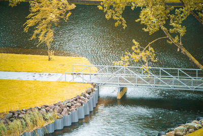 Close-up of yellow tree by water