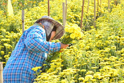 Midsection of person working on yellow flowering plants