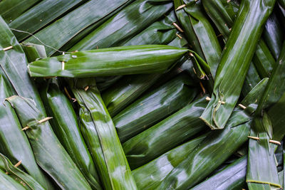 High angle view of green leaves in market