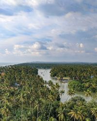 High angle view of plants by sea against sky