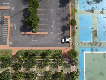 Plants and trees in city